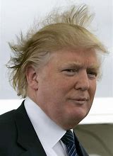 Image result for Trump's Hair
