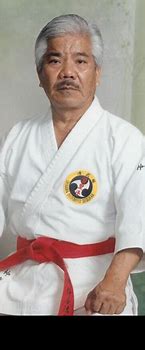 Image result for List of Okinawan Karate Styles