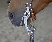 Image result for Horse Bit Shank Types