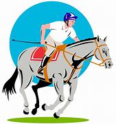 Image result for Show Jumping Course
