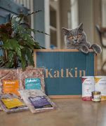 Image result for Katkin Old Can Cat Food