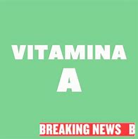 Image result for Alimentos Ricos Em Vitamina D