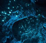 Image result for Crystals in Caves