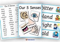 Image result for Five Senses Words