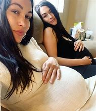 Image result for Brie Bella Pregnancy