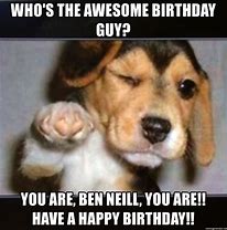 Image result for Awesome Birthday Meme Dog