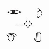 Image result for 5 Senses Doodle Notes