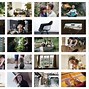 Image result for Leica Camera Jony Ive