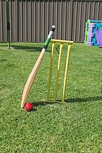 Image result for Cricket Stumps in Garden Lawn