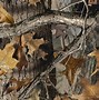 Image result for Realtree S22 Ultra