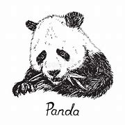 Image result for Giant Panda Sketch Black and Whit Eating Bamboo