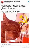 Image result for French Cat Meme