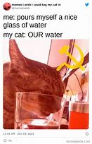 Image result for March Cat Meme
