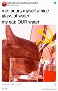 Image result for Please Cat Meme
