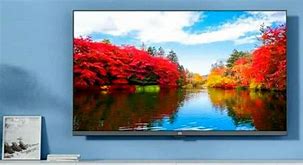 Image result for michigan television 32 inch smart
