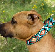 Image result for Dog Collars