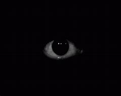 Image result for Scary Eyes