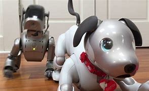 Image result for Old Sony Aibo