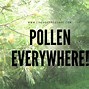 Image result for Pollen-Food Syndrome
