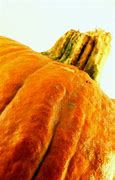 Image result for Red Apple On Pumpkin