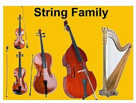 Image result for 8 String Instruments
