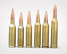 Image result for 6.5 Creedmoor vs 260 Rem