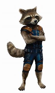 Image result for Guardians of the Galaxy Raccoon Name