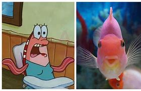 Image result for Pearl From Spongebob Real Life