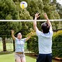 Image result for Net and Court of Volleyball