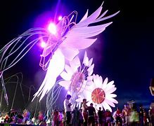 Image result for Electric Daisy Carnibal
