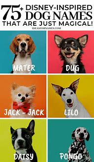 Image result for Disney Dog Names Boy