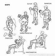 Image result for Chest and Bicep Workout