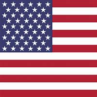 Image result for American Flag Square