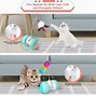 Image result for Automatic Cat Toys