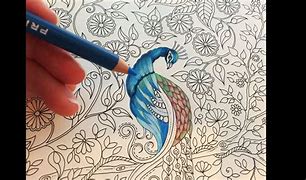 Image result for Adult Coloring Pages for Colored Pencils
