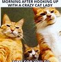 Image result for Cat Memes Clean for Kids