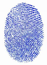 Image result for Fingerprint On Display