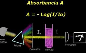 Image result for abeorbencia