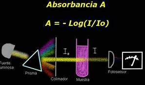 Image result for absodbencia