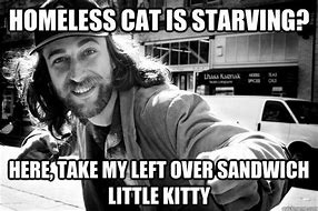 Image result for Homeless Cat Meme