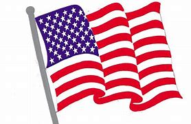 Image result for Small United States Flag