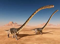 Image result for Biggest Dinosaur Skeleton Ever Found