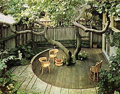 Image result for Vintage 1960s Backyard Patio Ideals