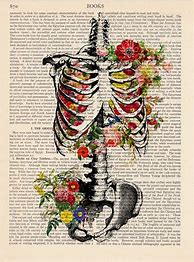 Image result for Vintage Anatomy Art Aesthetic