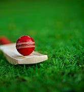 Image result for Cricket Bat with Cricketer Pak Unsplash