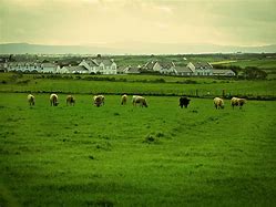 Image result for Irish Farm