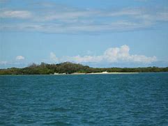 Image result for Green Island Moreton Bay