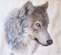 Image result for Wolf Profile Drawing