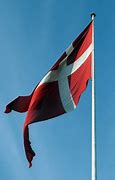 Image result for Denmark Flag