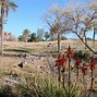 Image result for Things to See in Arizona Map